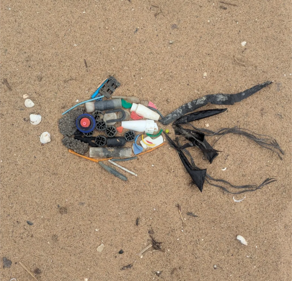 Plastic Fishing Foto_Dagmar Hüserich.png