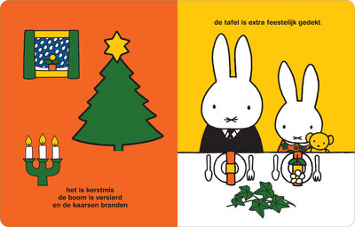 feest_met_nijntje_en_vriendjes_spread2_RGB_ONLINE.jpg