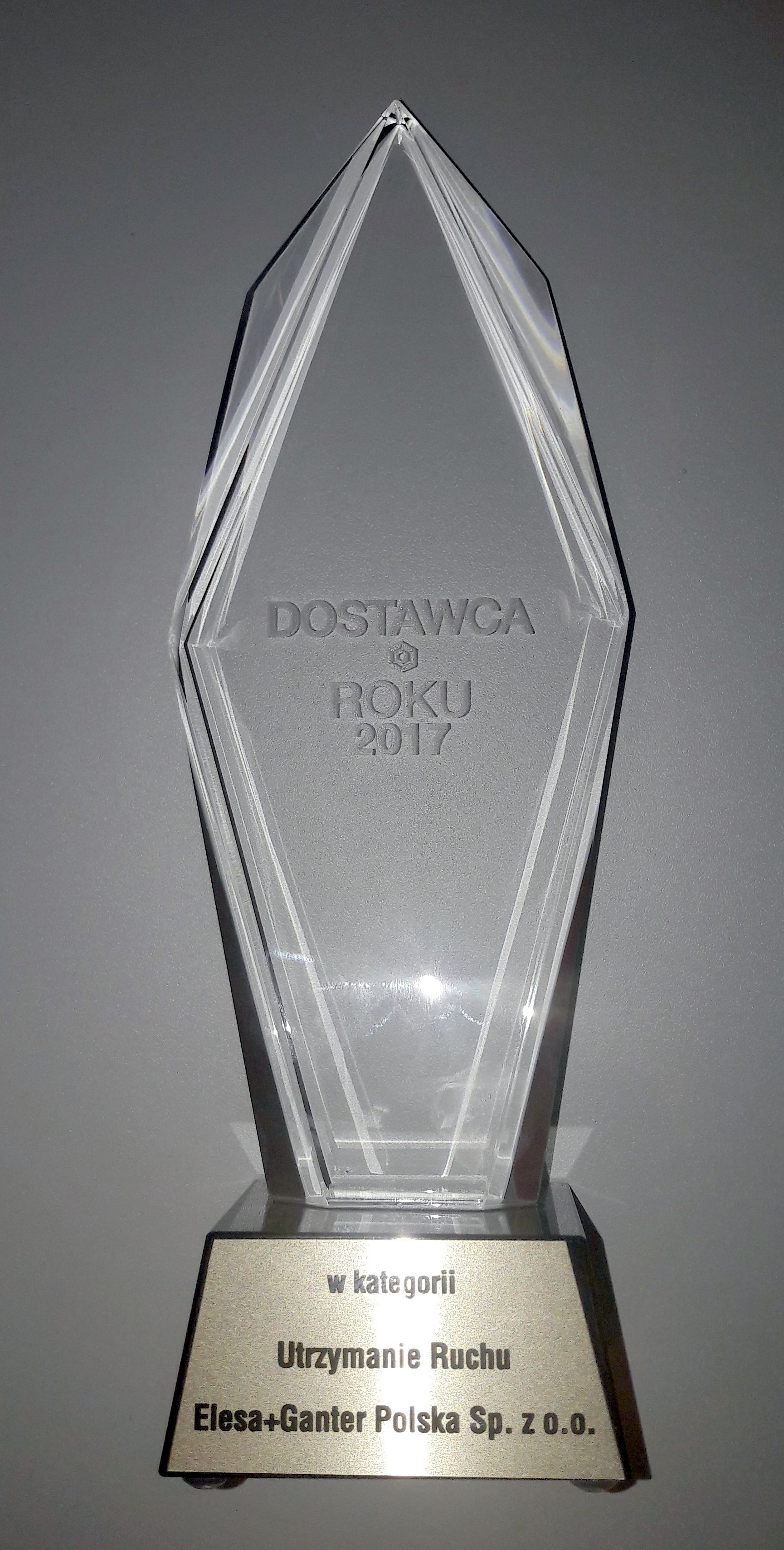 269831 elesa ganter dostawca roku 2017 542df1 original 1516093126
