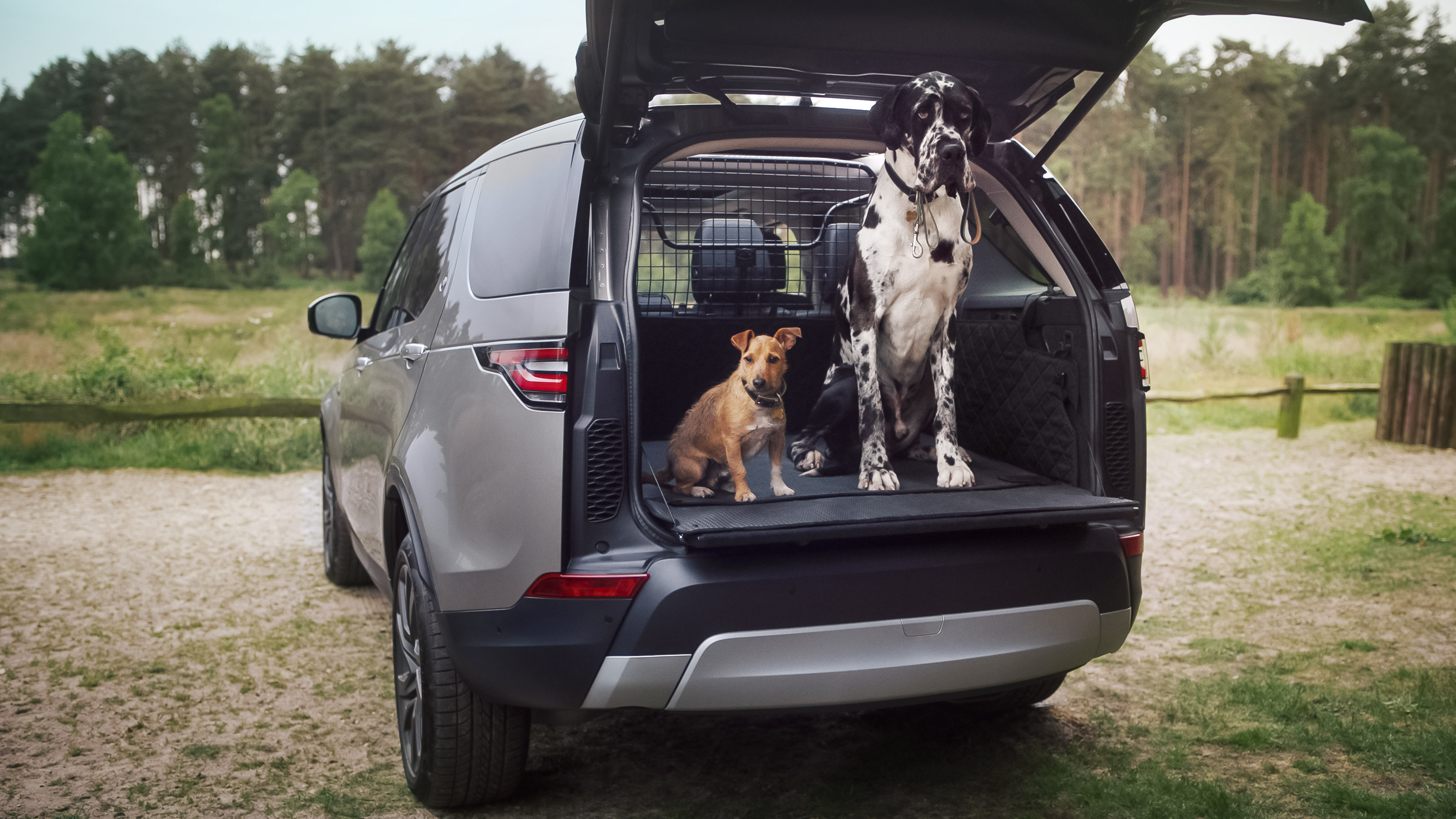 295351 lr petpacks 08 luggagepartition 240818 d5b7c3 original 1541584010