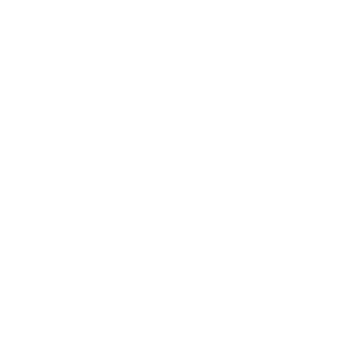 icon-mono-wh