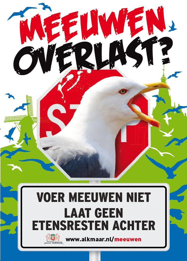 174305 meeuwenposter 6d2d36 original 1437399843