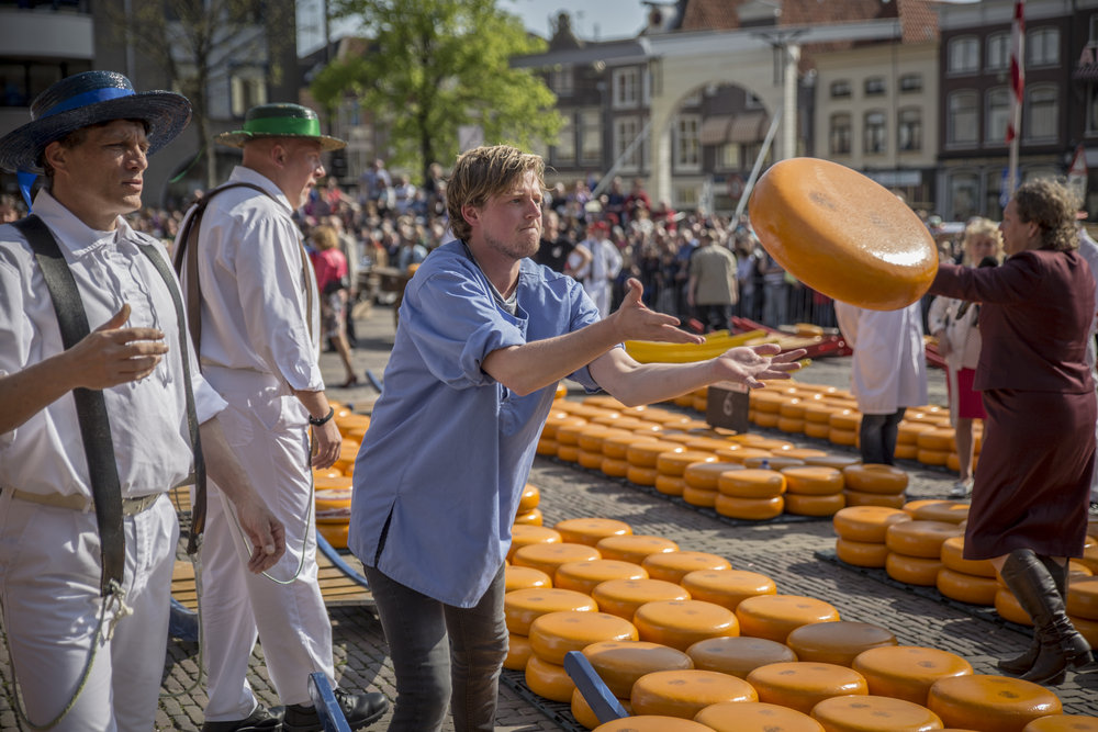 214714 kaasmarkt%20stock%202016%20012 e616f2 large 1466518146
