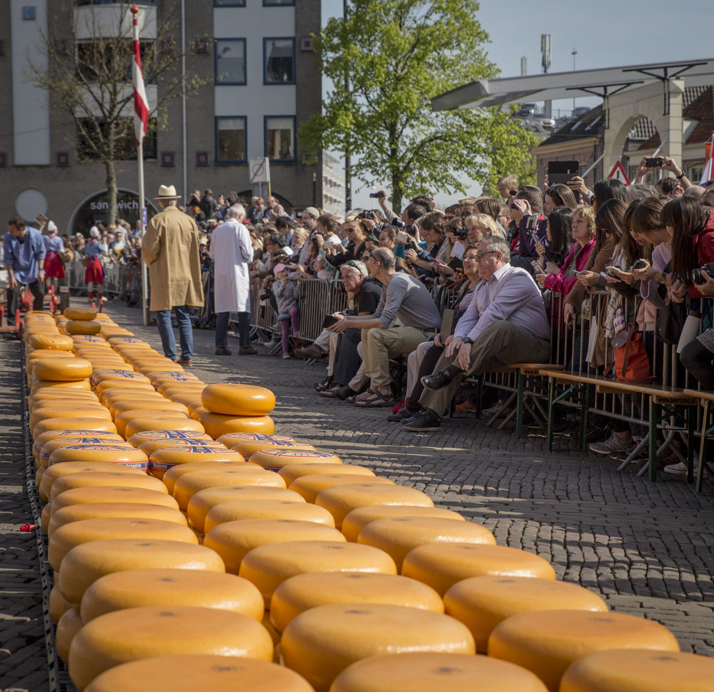 214719 kaasmarkt%20stock%202016%20016 3b1b9c large 1466518195