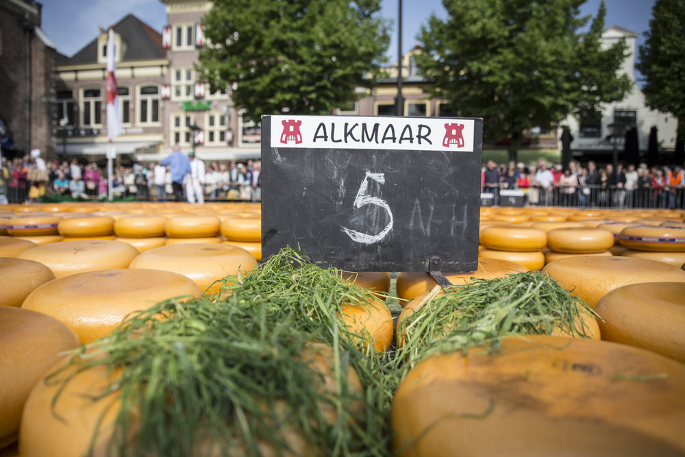214734 kaasmarkt%20stock%202016%20027%20graskaas 8716fa large 1466518413