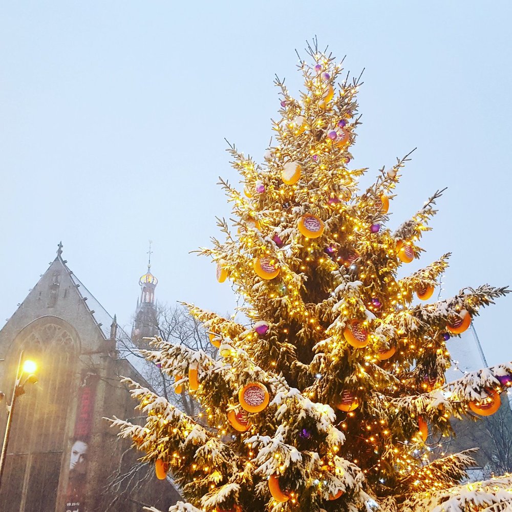 339261 kaaskerstboom%20alkmaar%20marketing e4b0c1 large 1574865547