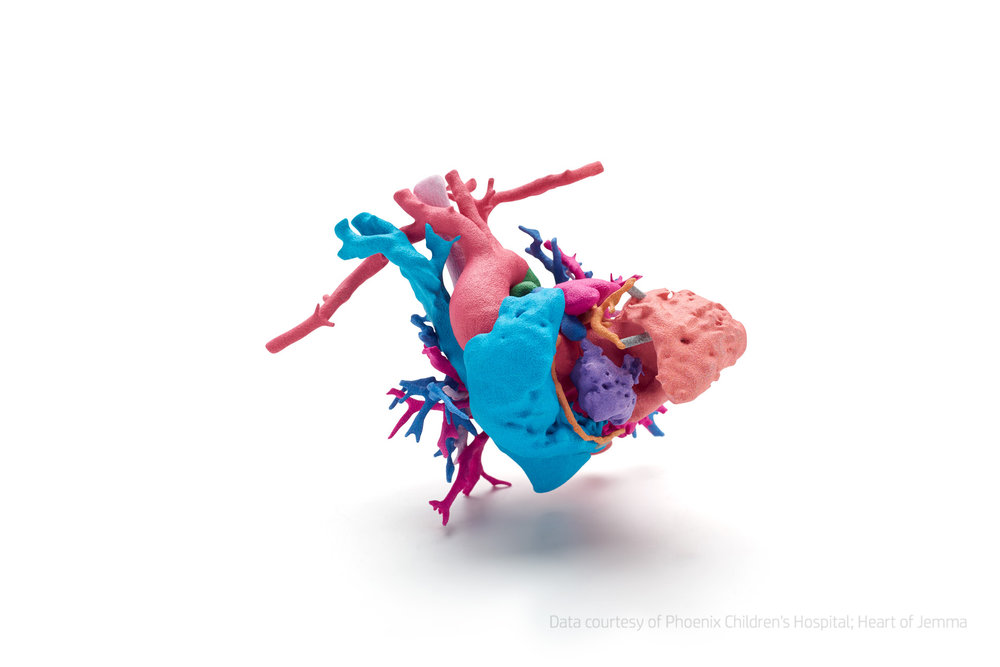 271528 image%204 3d%20printed%20full%20color%20heart credits%20needed phoenix%20childrens%20hospital hp%20jet%20fusion 14f52a large 1517905203