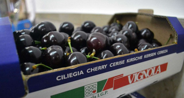 326826 cherries%20packaging%20in%20hp%20corrugated intertech 158a85 original 1565605782