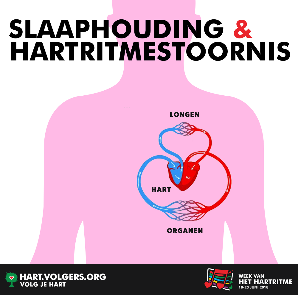 280888 infographic hartlong 8d1253 large 1527161625