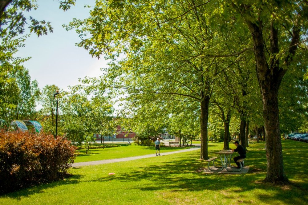 217633 victoriaville park uses typeform 2e123f large 1468412926
