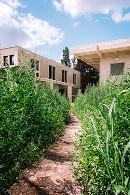 Een buitenzicht op de Felix.