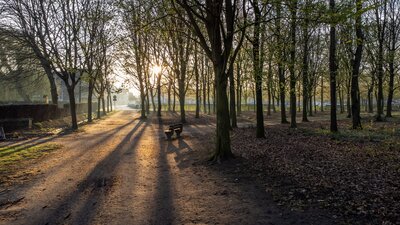De Vroonstalledries in Wondelgem.