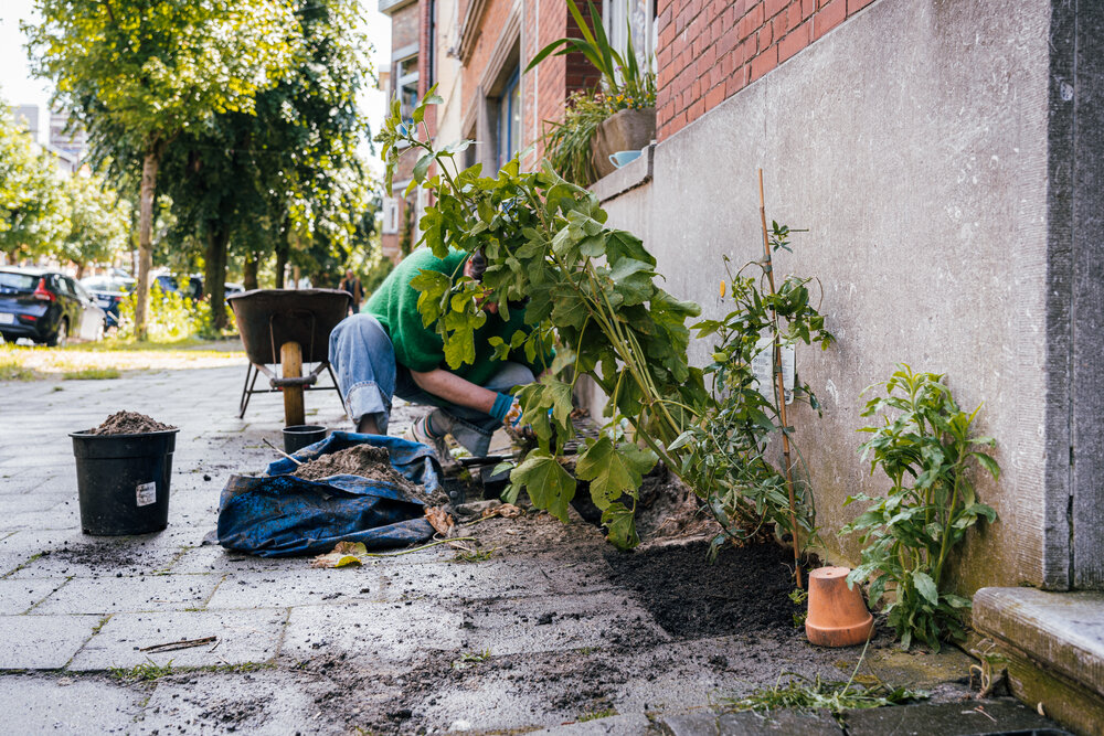 Onder meer via Planten met Buren werden heel wat geveltuintjes aangelegd.