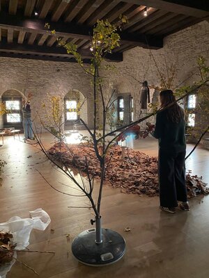 De opbouw van het Winterwonderkasteel is volop bezig.