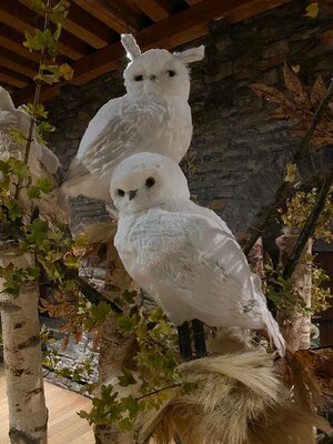 De opbouw van het Winterwonderkasteel is volop bezig.