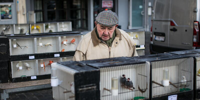Oude Beestenmarkt.jpg