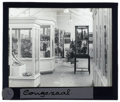 Congo-zaal (2).jpg