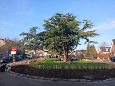 De nieuwjaarsdrink van Wondelgem Swingt eerder deze maand.