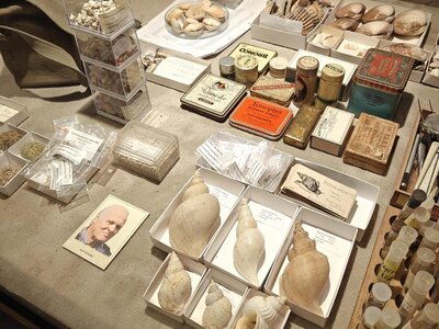 Kina Joris Hoozee.jpg