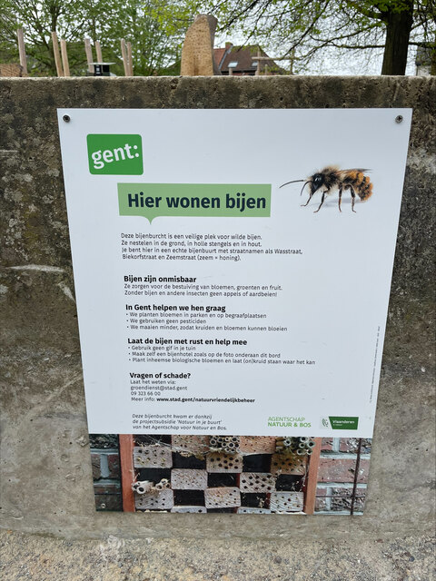 De nieuwe bijenburcht.
