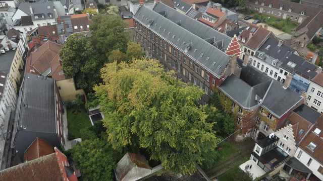De site vanuit de lucht.