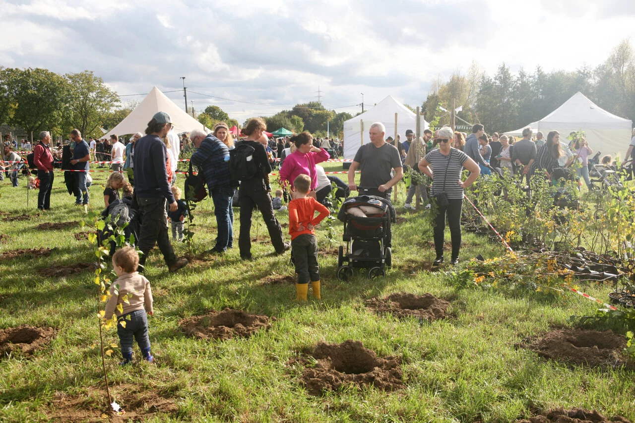 Een beeld van een vorige plantdag in de Vinderhoutse Bossen.