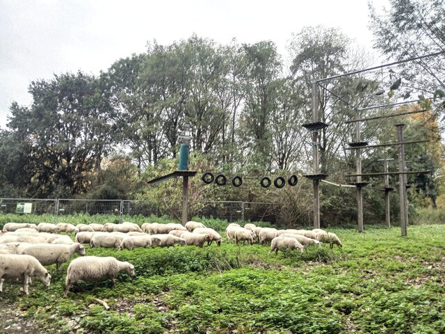 Een foto van de kudde gisteren, op dinsdag 27 oktober.