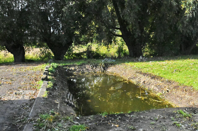De nieuwe wadi.