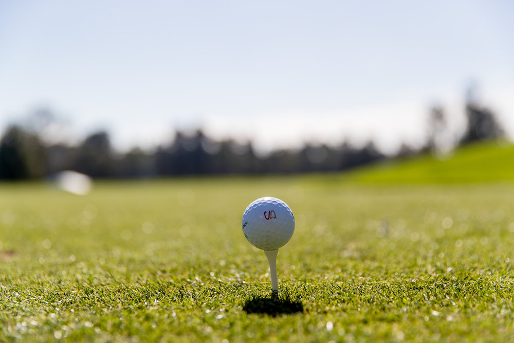 237612 237585 genesisopen 1467 39d099 original 1487967833 b37ad0 large 1487972456