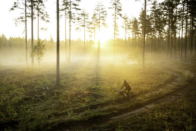 giant xc2 29 wheelset