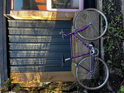 Telbert 008 outside of the workshed.jpeg