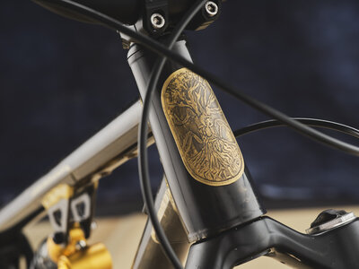 AG-BespokedDresden25-BestMTB-LooseLevin-02.JPG