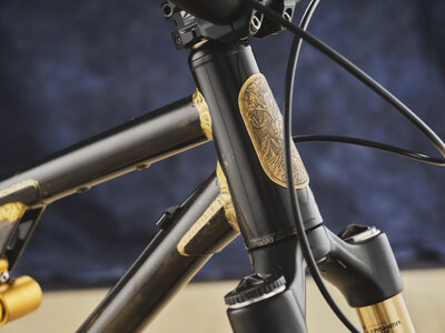 AG-BespokedDresden25-BestMTB-LooseLevin-03.JPG