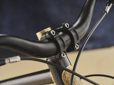 AG-BespokedDresden25-BestMTB-LooseLevin-04.JPG