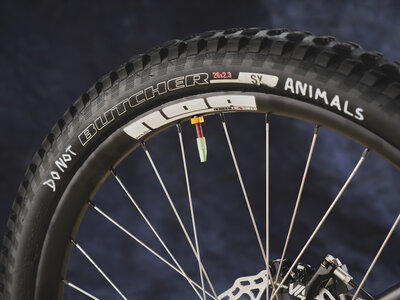 AG-BespokedDresden25-BestMTB-LooseLevin-13.JPG
