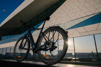 A Crow Photography - TwoTone - Moustache-70