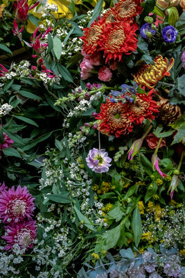 VM_GanniLocation_FloristSijmon_02