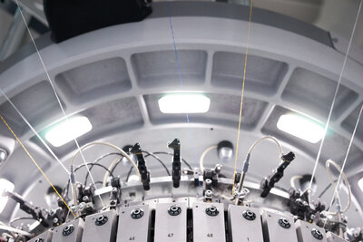 562713-DSC03811-3a6ff5-original-1731405782 (1)