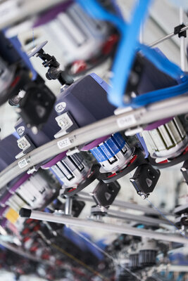 562709-DSC03800-37d0c9-original-1731405779