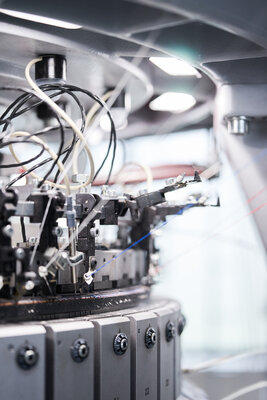 562711-DSC03808-ea246b-original-1731405780 (1)