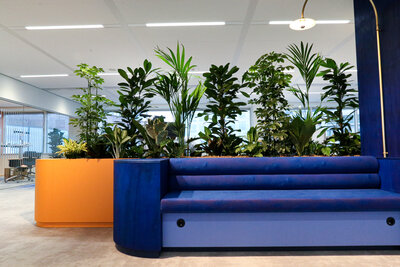 CBRE x State Street x BYBORRE1