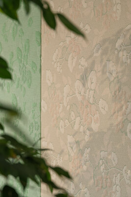 Odette Ex x BYBORRE1.JPG