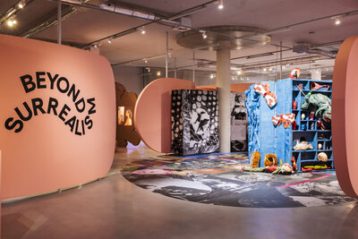 Museum Boijmans Van Beuningen Beyond Surrealism  - 0133 - Fotografie Natascha Libbert.jpg