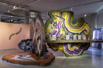 Museum Boijmans Van Beuningen Beyond Surrealism  - Kerstin Brätsch - 0043 - Fotografie Natascha Libbert.jpg