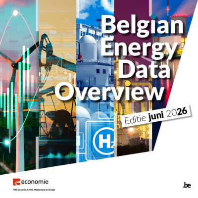Belgian Energy Data Overview.pdf