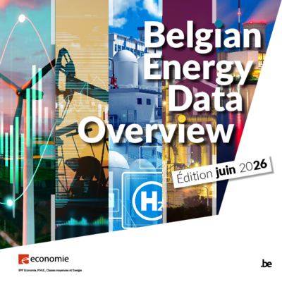 Belgian Energy Data Overview.pdf