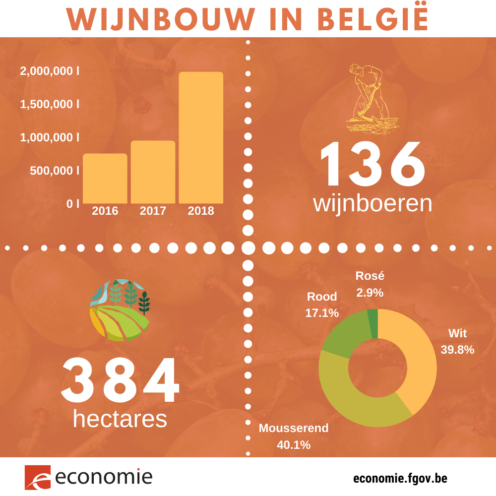 341228 vin%20belge%202018%20nl 642a84 large 1577113839