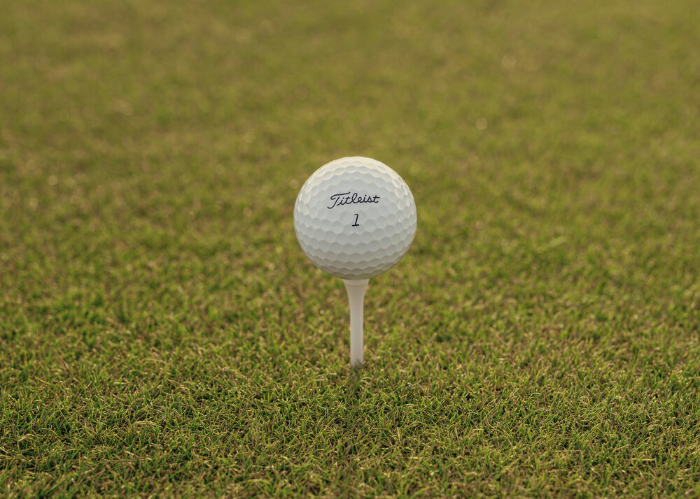 Titleist Pro V1 golf ball