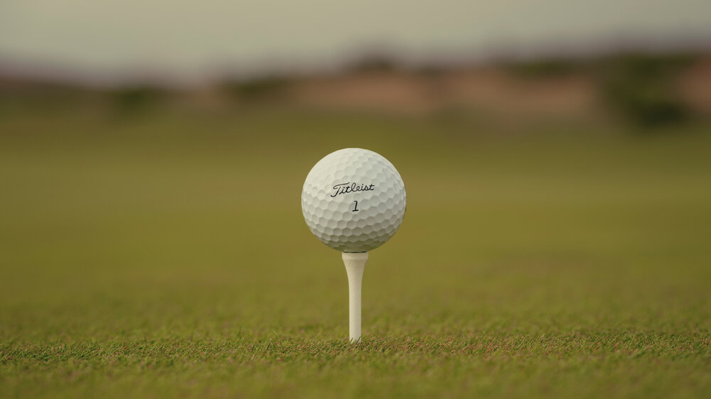 Titleist Pro V1 golf ball