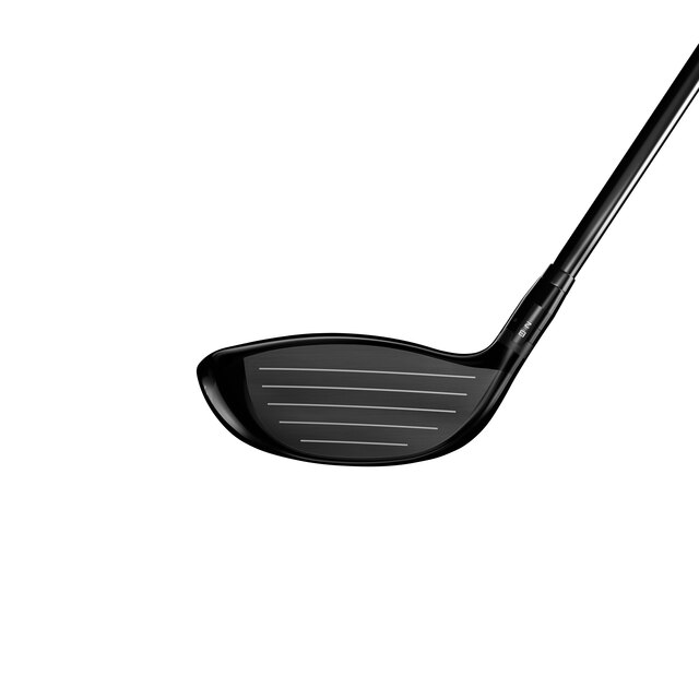 NEW GTS300 mini driver